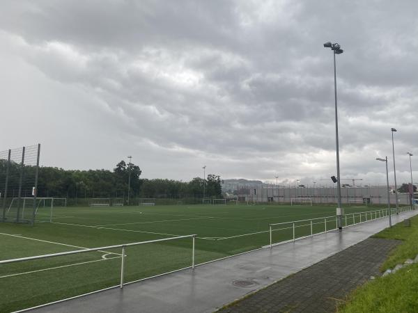 Sportanlage Juchhof 1 Platz 2 - Zürich
