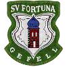 Wappen SV Fortuna Gefell 1991