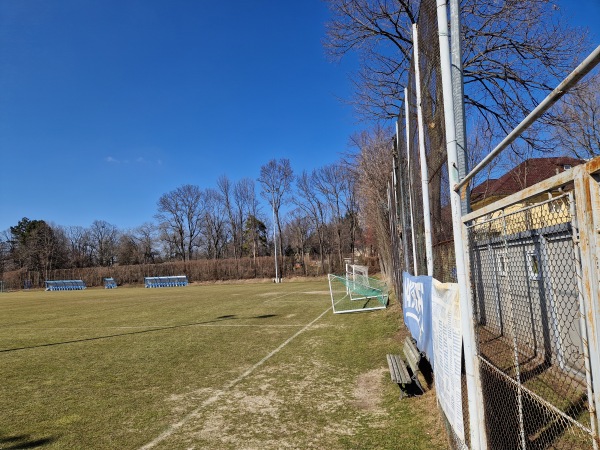 Stadionul Emil Alexandrescu iarbă - Iași