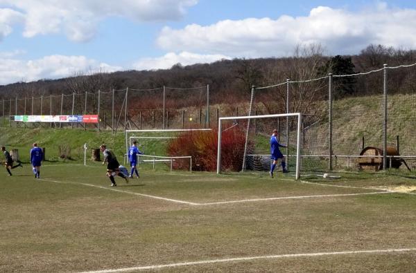 Sportanlage Langer Berg Platz 2 - Halberstadt-Sargstedt