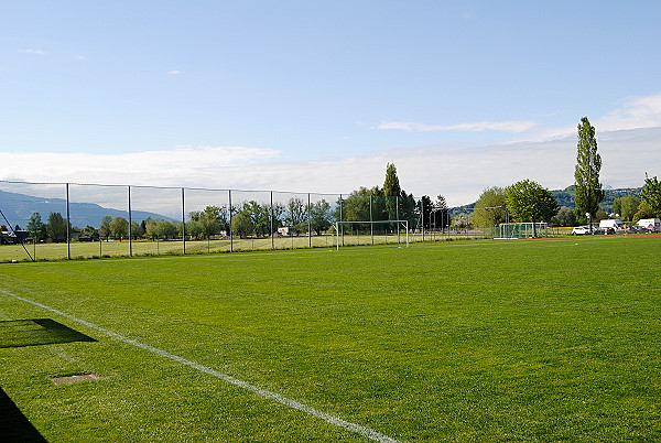 Sportanlage Müss - Fussach