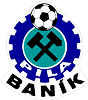 Wappen TJ Baník Pila