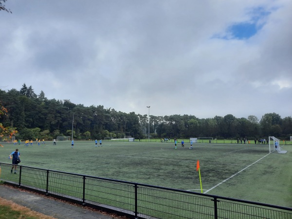 Sportpark Het Nieuwland veld 5 - Rheden-Dieren