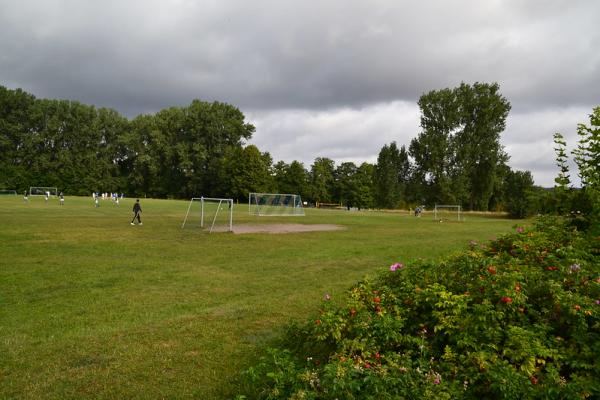 Sportplatz auf dem Amtswerder - Feldberger Seenlandschaft-Feldberg