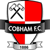 Wappen Cobham FC