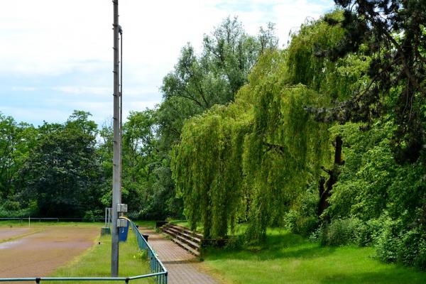 Sportanlage Asberger Straße - Moers-Asberg