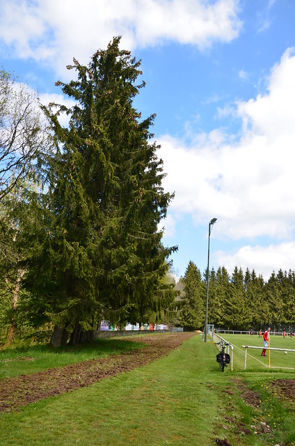 Sportplatz Hollerath - Hellenthal-Hollerath