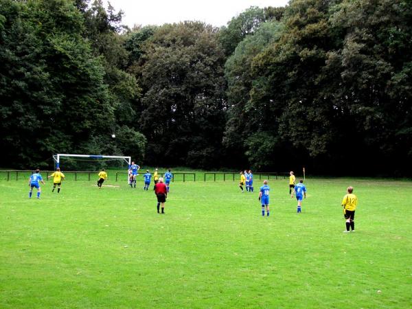 Sportplatz am Lindenplatz - Meineweh