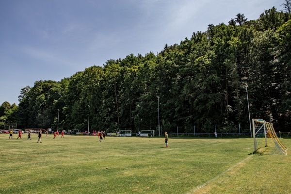 Sportplatz an der Lindenallee - Wildenfels