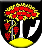 Wappen 1. FC Černík