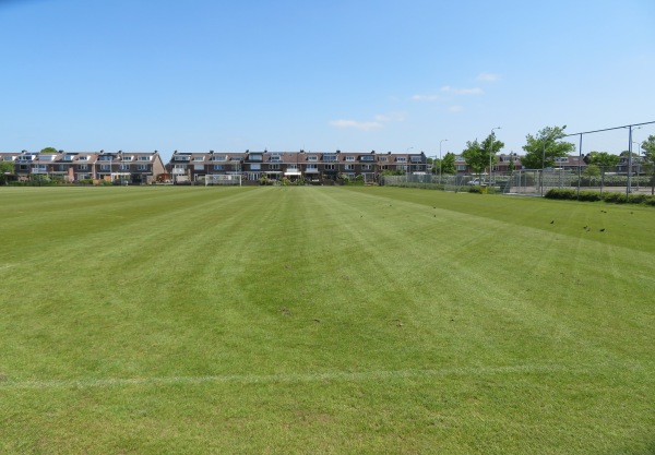 Sportpark Duinwetering veld 4 - Noordwijk