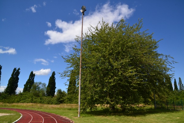 Sportanlage Integrierte Gesamtschule - Lengede