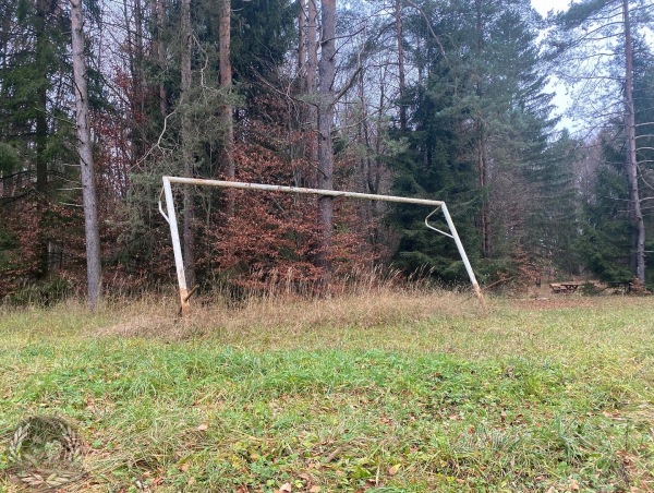 Sportplatz im Wald - Betzenstein