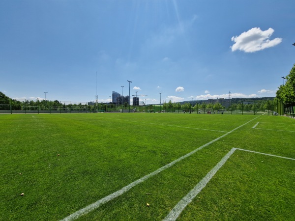 Sportanlage Heerenschürli Platz 6 - Zürich