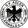 Wappen SV Adler 1888 Hämelerwald diverse  96960
