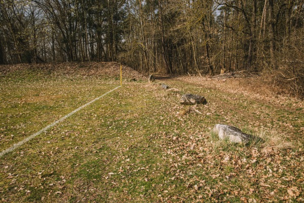 Waldsportanlage Platz 2 - Ammerndorf