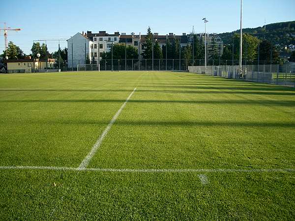 Alter Zustand (vor dem Stadionneubau)