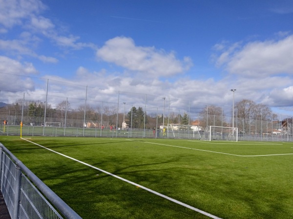 Stade des Fraisiers - Grand-Lancy