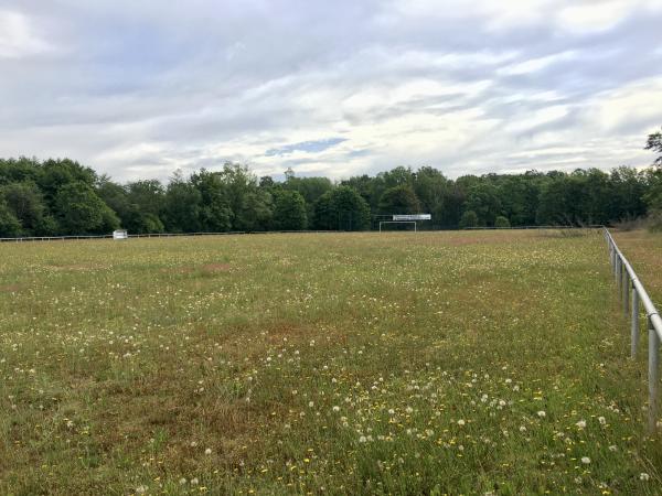 Sportanlage Steinstraße - Bad Sachsa