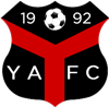 Wappen Ynyshir Albions FC