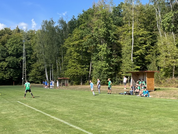 Waldsportplatz - Blieskastel-Wolfersheim