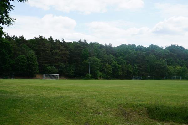 Heinz-Dettmer-Stadion C-Platz - Lohne (Oldenburg)