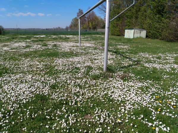 Sportplatz Ameln - Titz-Ameln