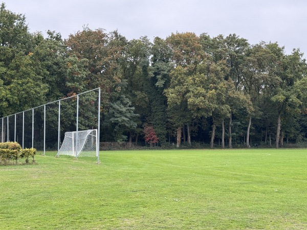 Sportpark Wesselerbrink Midden veld A - Enschede