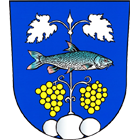 Wappen TJ Sokol Pavlov