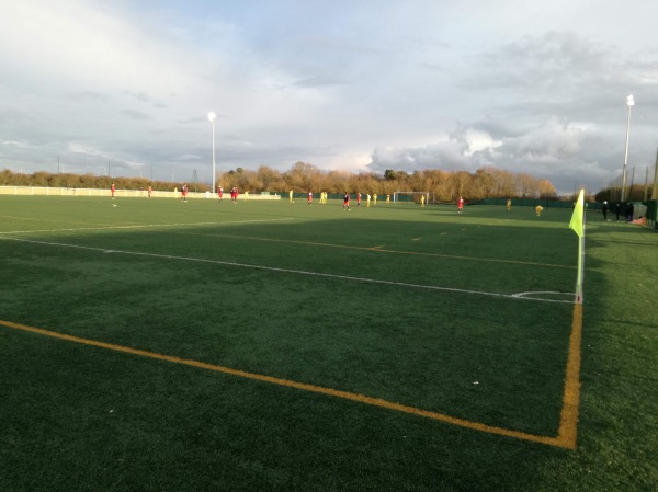 Stade Marcel Garcin terrain synthétique - Orléans