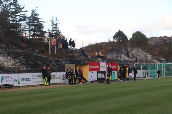 Telavåg gress - Telavåg