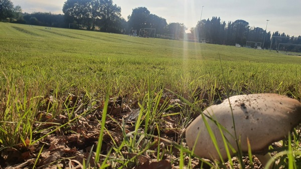 Sportanlage Heidkoppelweg B-Platz - Lüneburg-Erbstorf