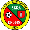 Wappen LKS Skra Drobin   102263