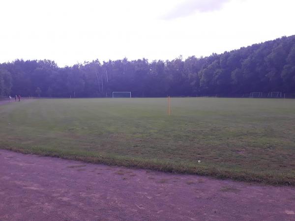 Sportplatz Hirschgartendreieck - Berlin-Elsengrund