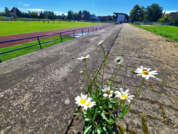 Městský stadion Rumburk - Rumburk