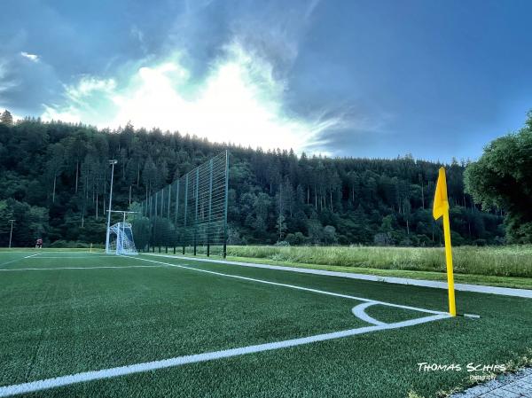 Sportanlage Donauwiesen Platz 2 - Tuttlingen-Möhringen