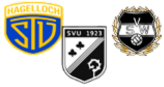 Wappen SGM Hagelloch II / Unterjesingen II / Wendelsheim II (Ground B)