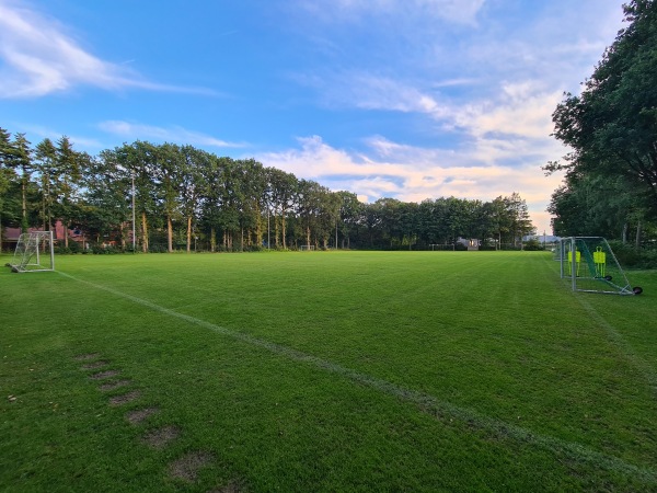 Waldstadion Hünensteine C-Platz - Freren