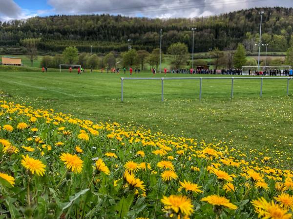 Tiefental-Stadion Nebenplatz - Burladingen