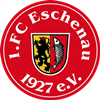 Wappen 1. FC Eschenau 1927 diverse