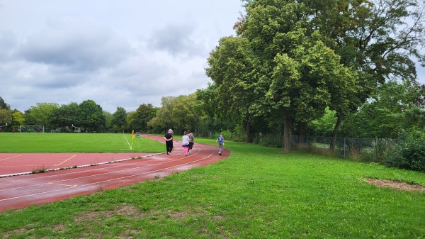 Sportplatz Alexander-von-Humboldt-Gymnasium - Schweinfurt-Bergl