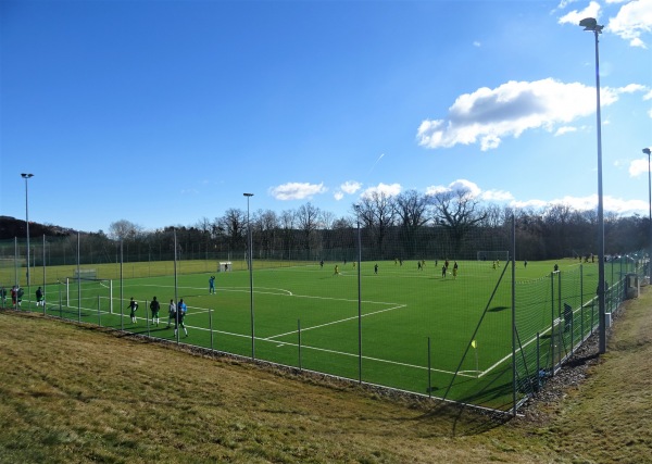 BSFZ Schloß Schielleiten Kunstrasenplatz - Stubenberg am See