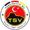 Wappen Türkischer SV Singen 1981