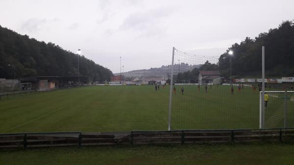 Sportplatz Wiesen - Wiesen