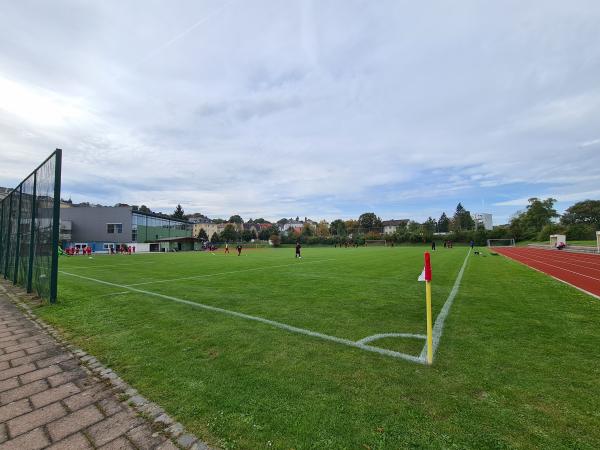 Sportanlage Saaledurchstich - Hof/Saale