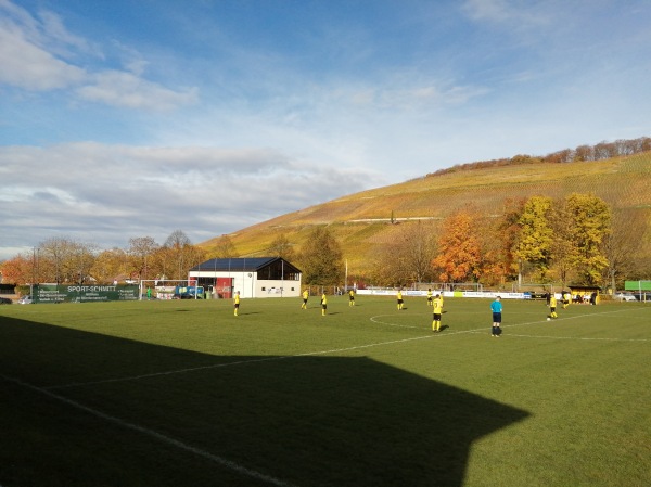 Römerbergstadion - Müllheim/Baden-Niederweiler