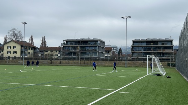 Sportanlagen Herti Allmend Platz 3 - Zug