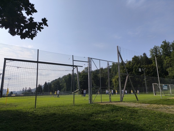 Sportanlage Buchlern Platz 8 - Zürich