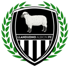 Wappen Llandudno Albion FC  35571