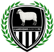 Wappen Llandudno Albion FC